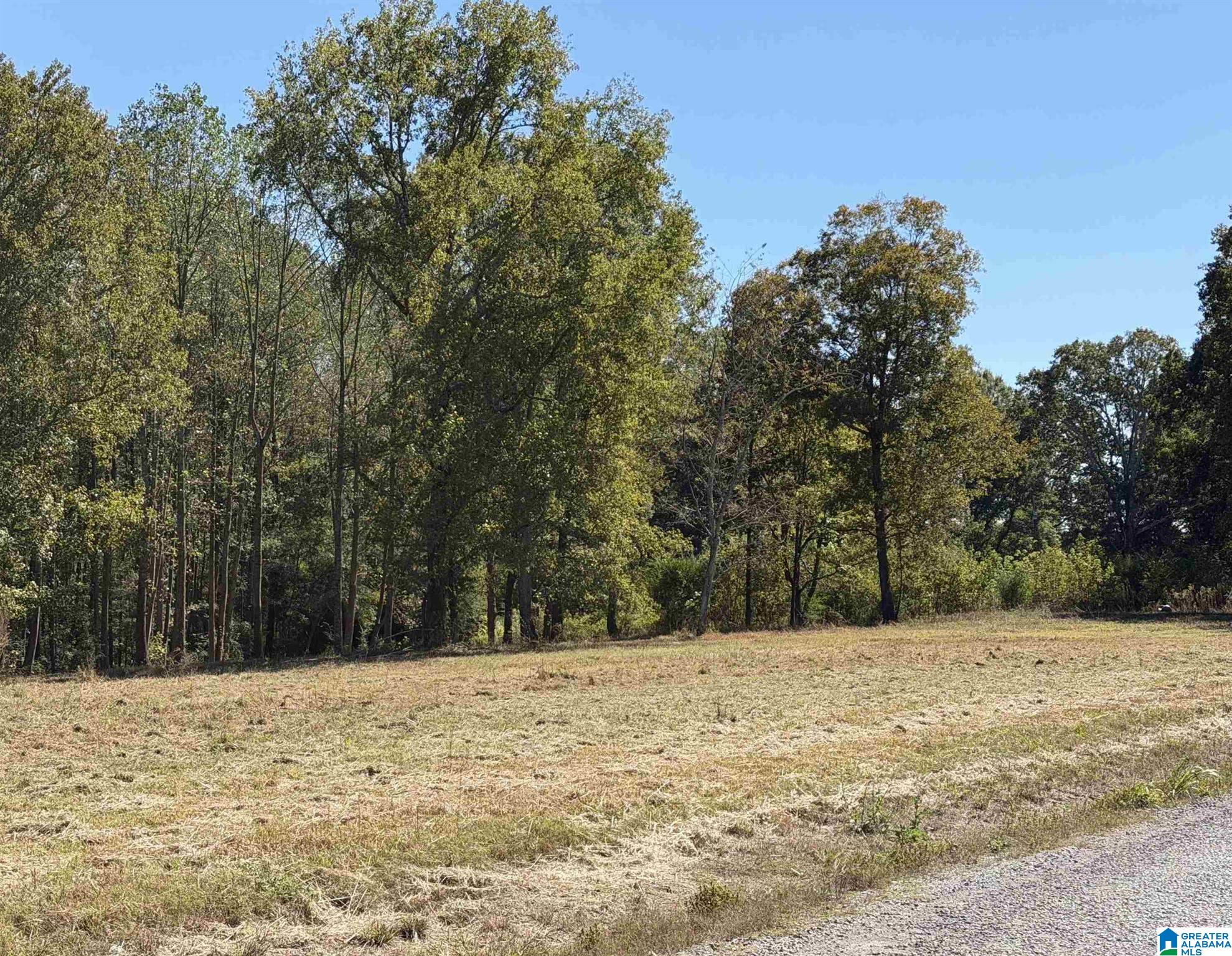 775 COUNTY ROAD 1498 tract 3