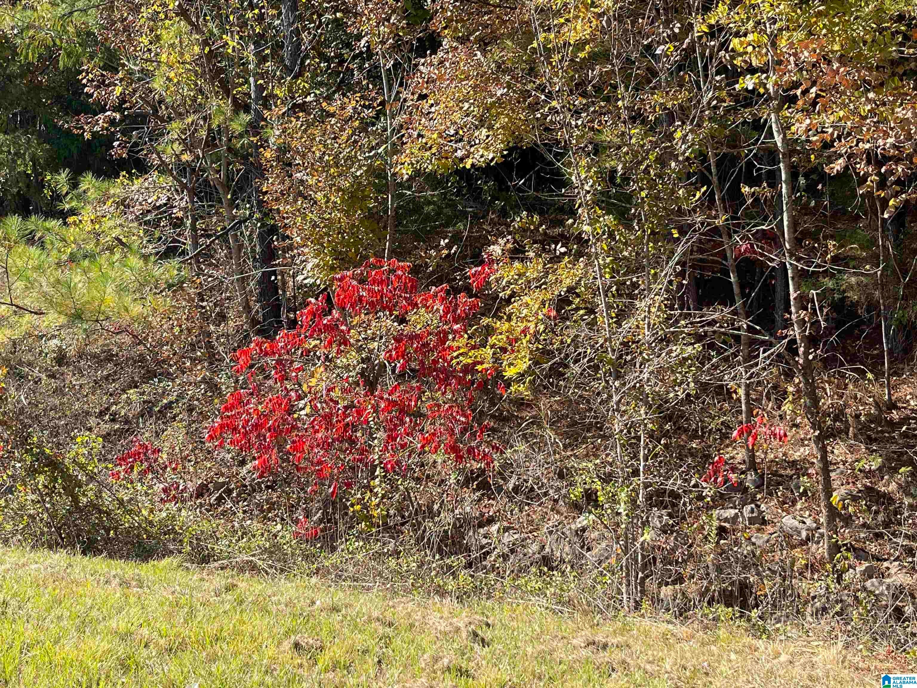 Lot #1 HIGHWAY 75 1