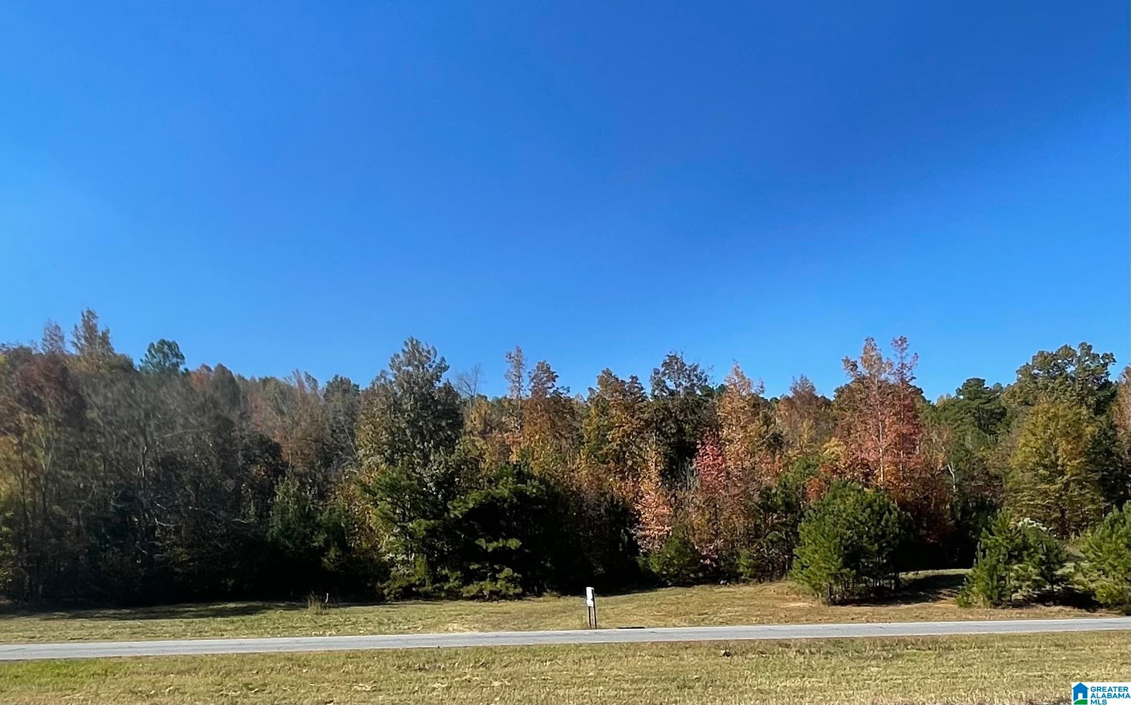 Lot #1 HIGHWAY 75 1