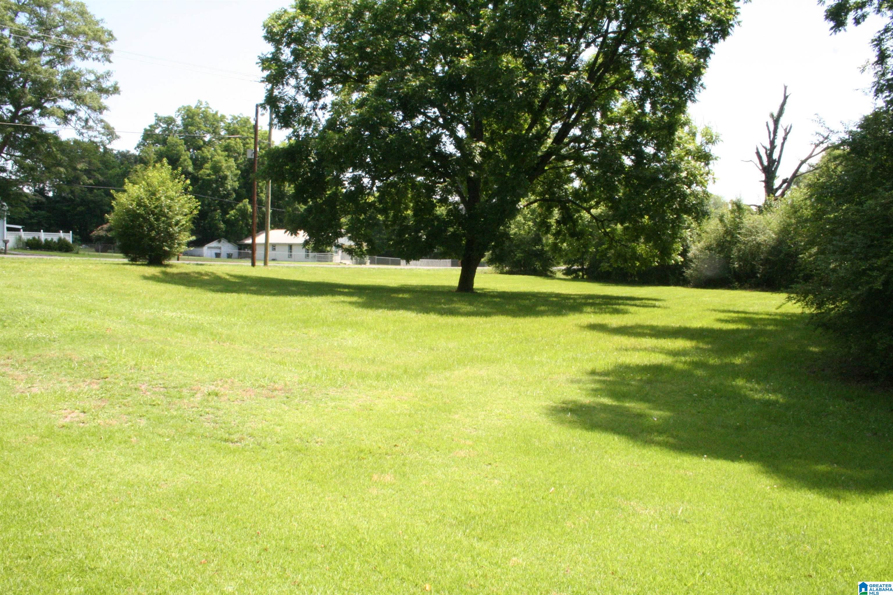 6096 WARRIOR RIVER ROAD 1