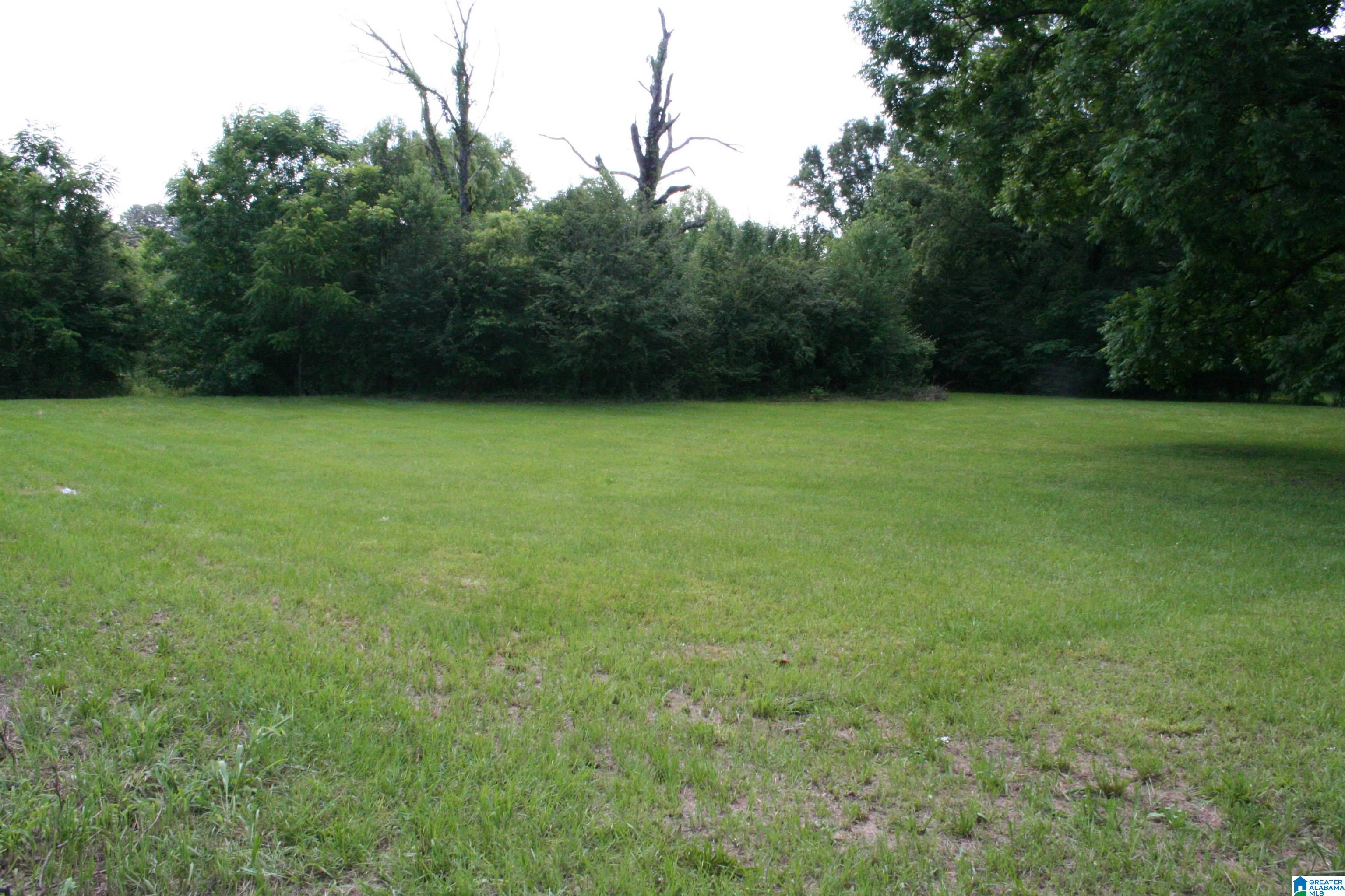 6096 WARRIOR RIVER ROAD 1