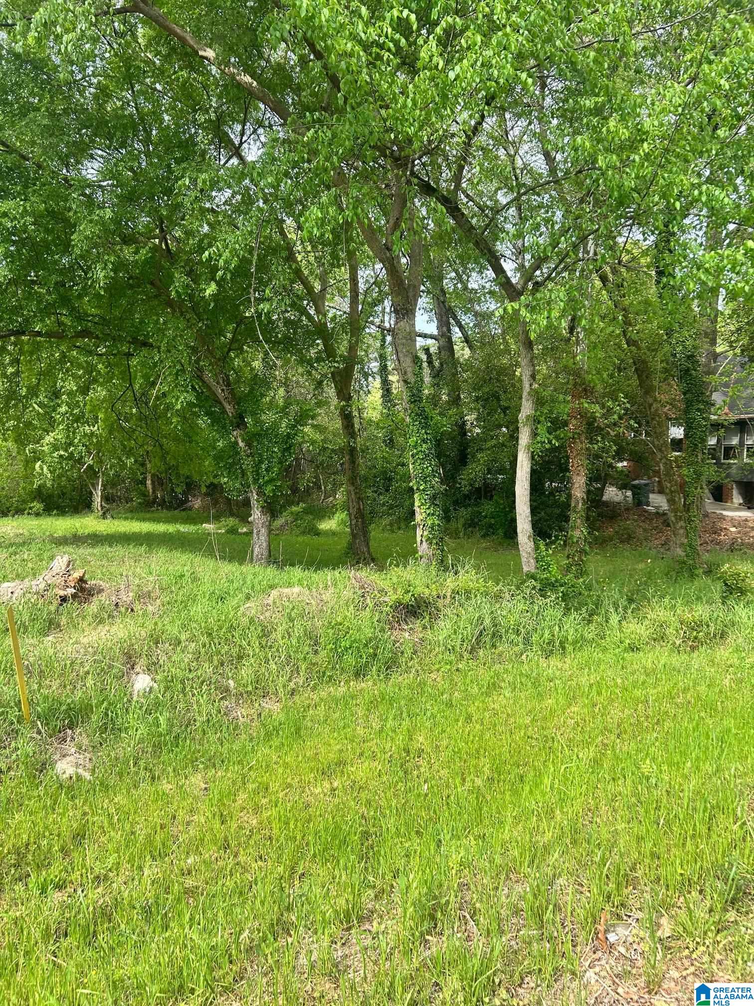 1008 COLUMBIANA ROAD 131