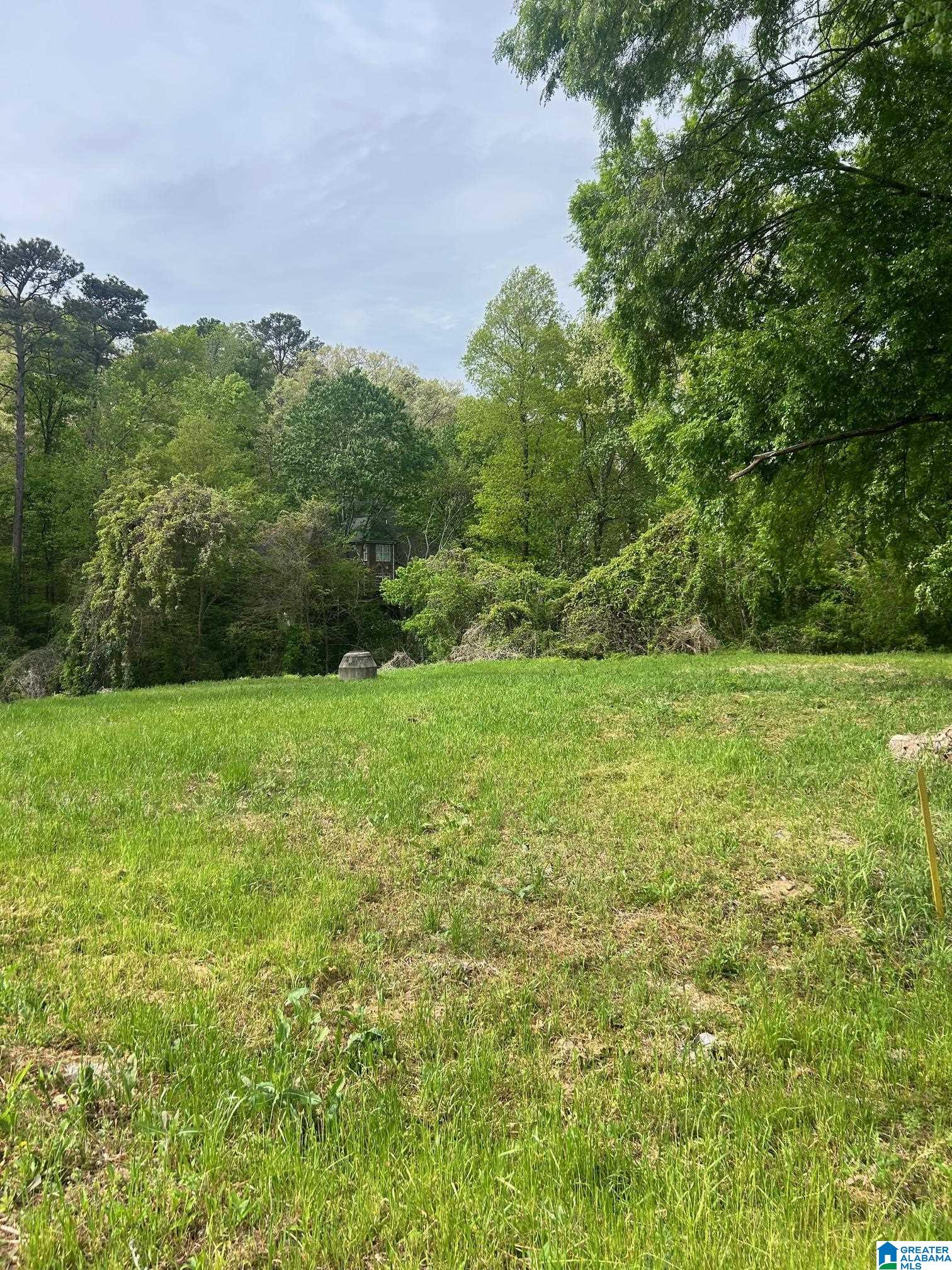 1008 COLUMBIANA ROAD 131