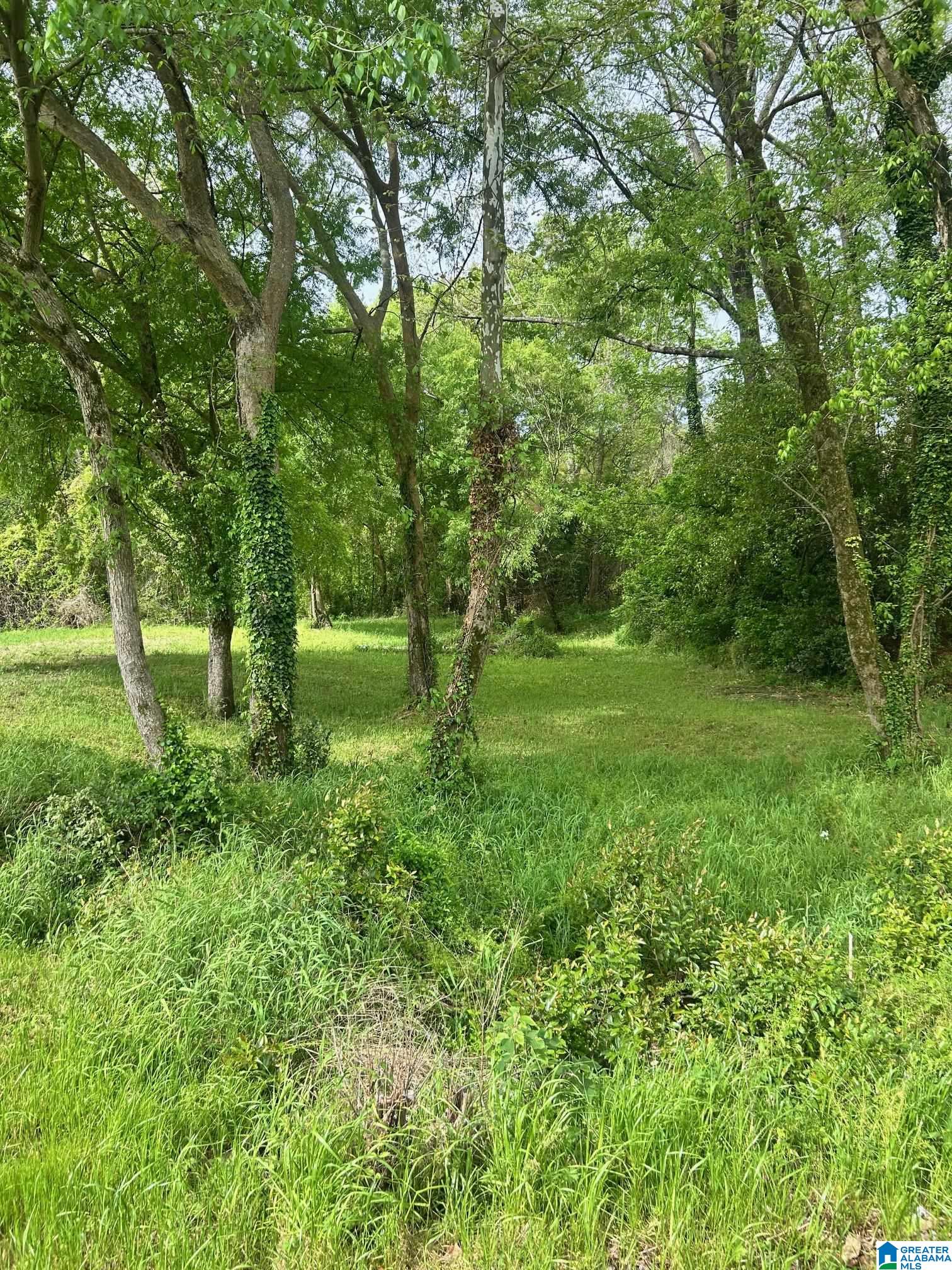 1008 COLUMBIANA ROAD 131