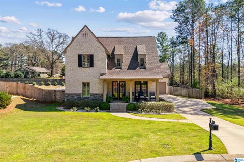 502 WILLOW BRANCH CIRCLE CHELSEA AL 35043