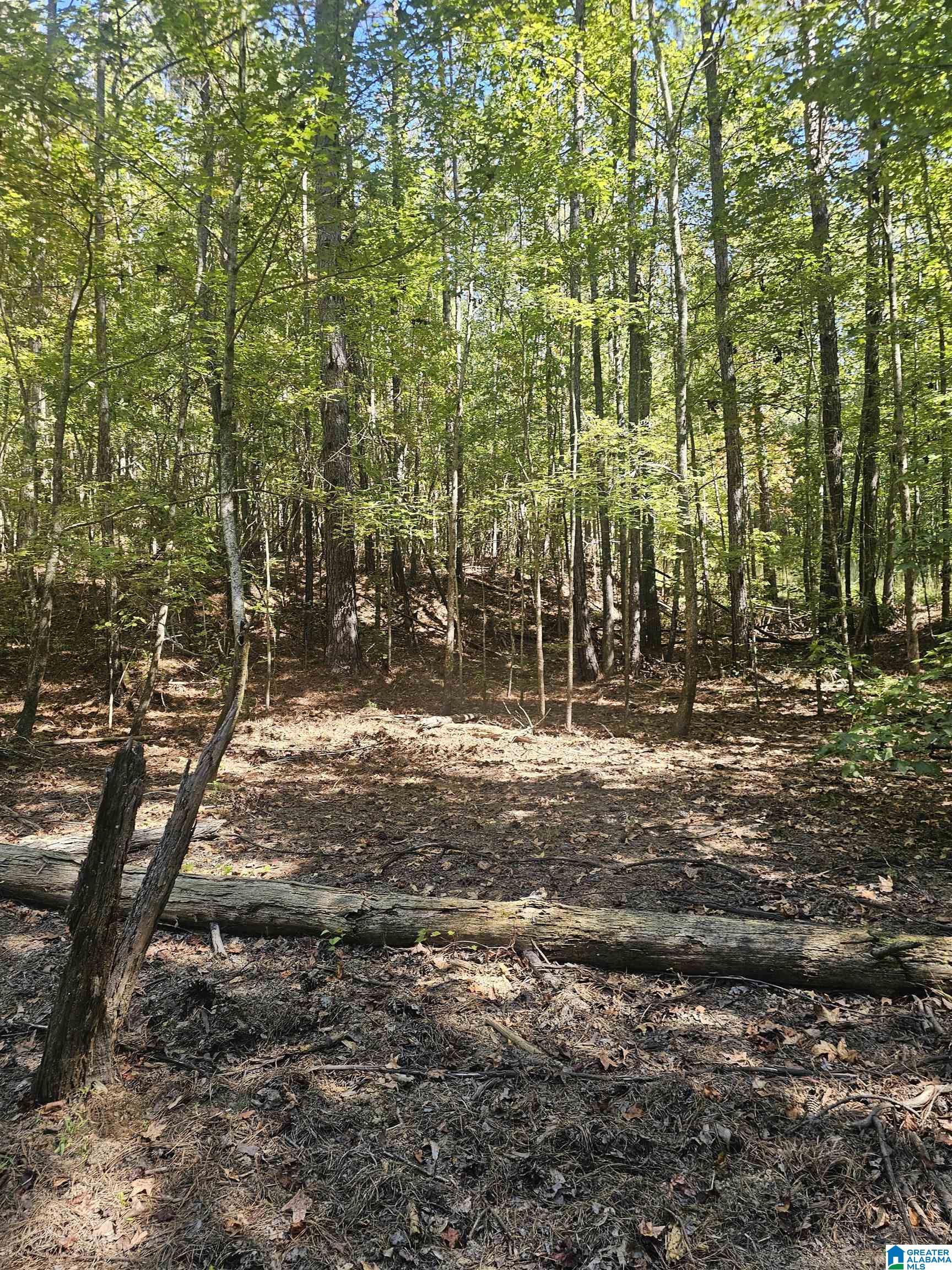 11840 N SCOTTSVILLE ROAD 11840
