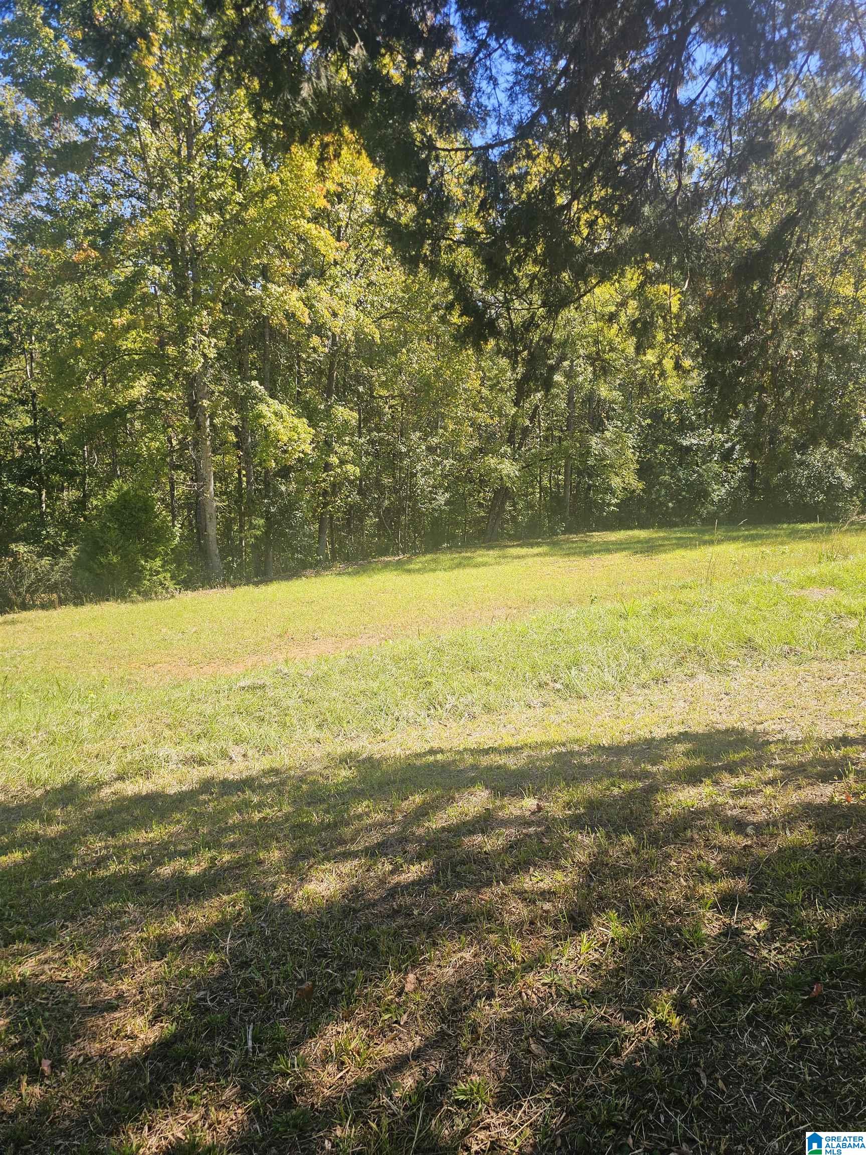 11840 N SCOTTSVILLE ROAD 11840