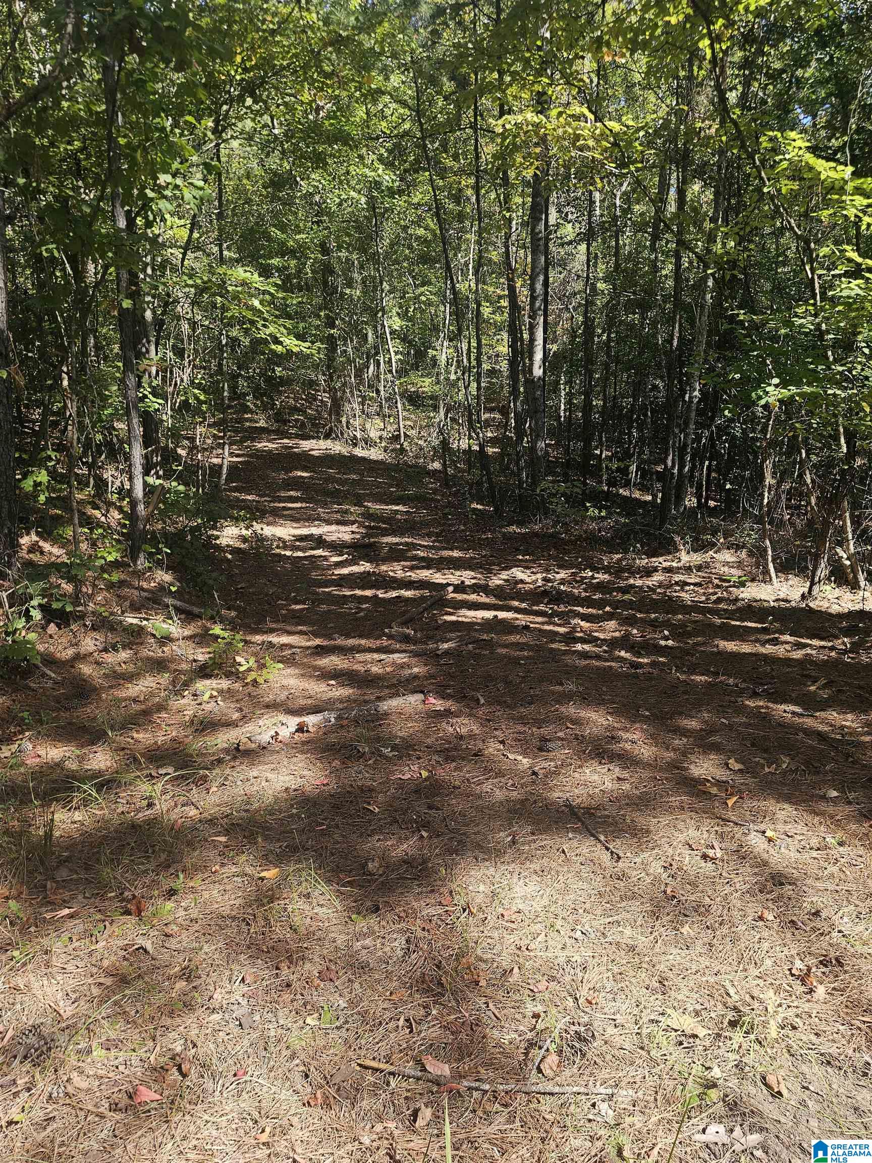 11840 N SCOTTSVILLE ROAD 11840