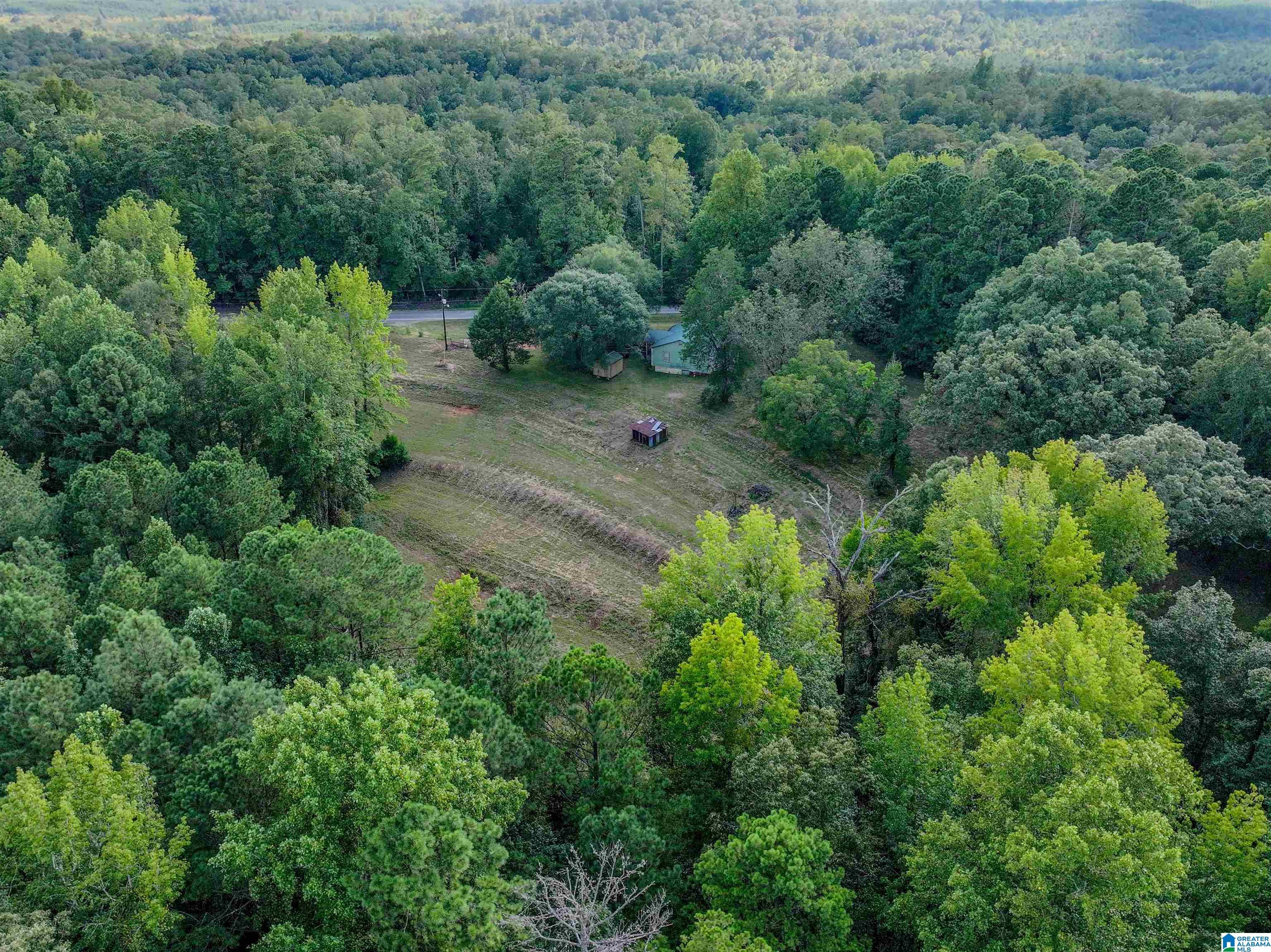 11840 N SCOTTSVILLE ROAD 11840