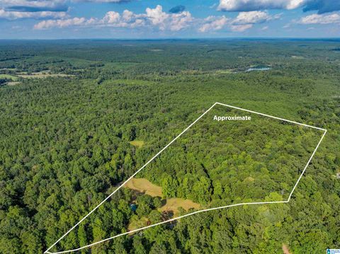 11840 N SCOTTSVILLE ROAD 11840 WEST BLOCTON AL 35184