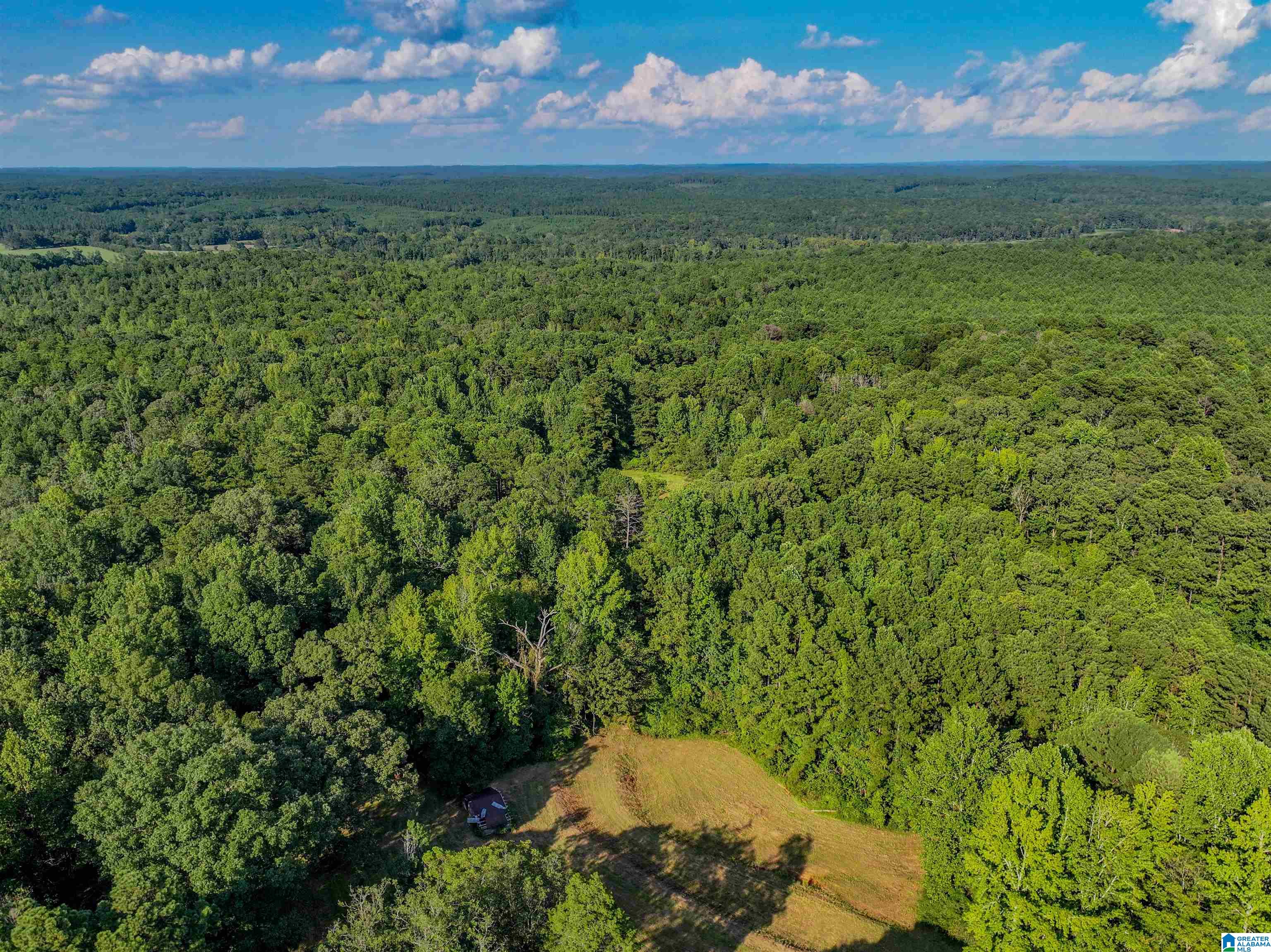 11840 N SCOTTSVILLE ROAD 11840