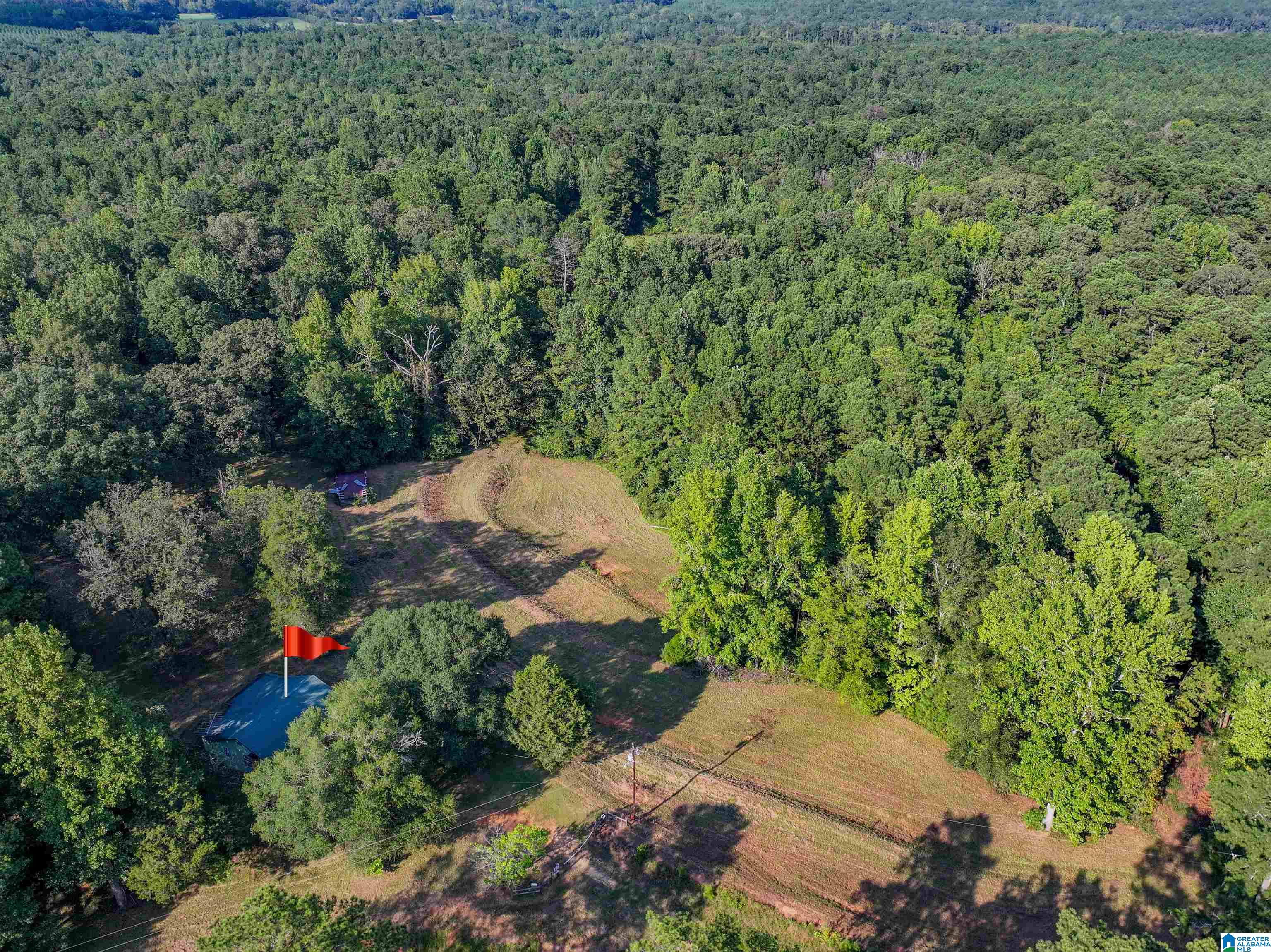 11840 N SCOTTSVILLE ROAD 11840