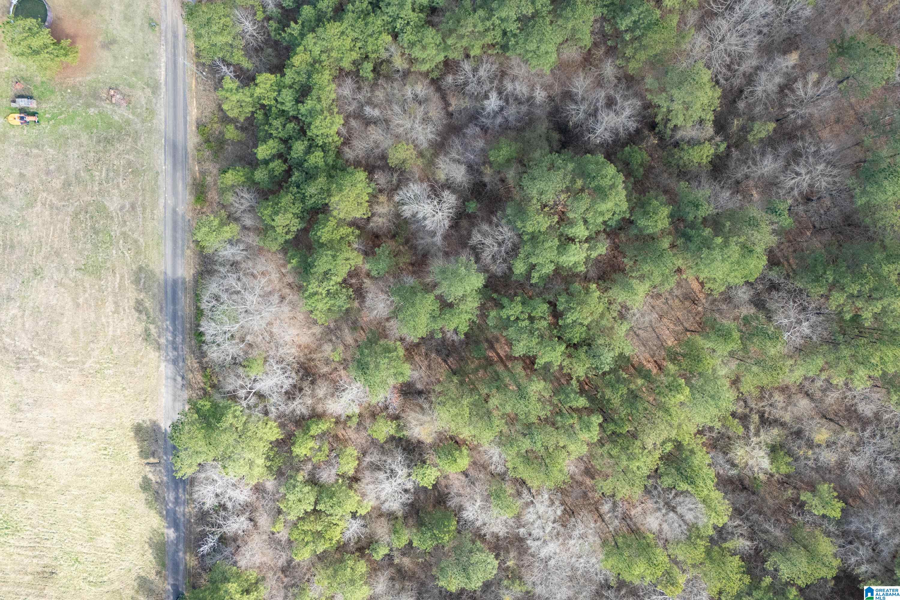 7 FISHER PHILLIPS ROAD 7