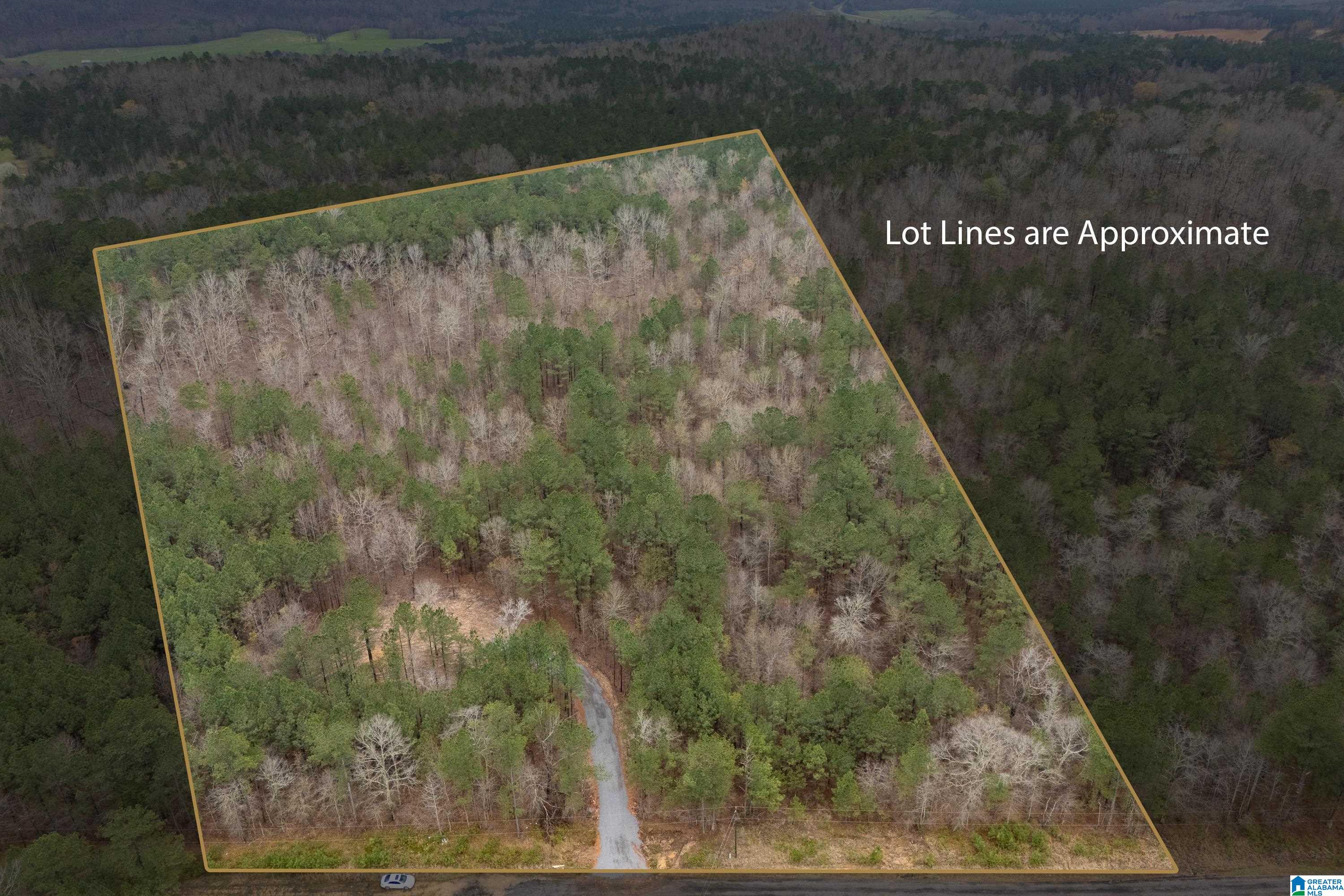 7 FISHER PHILLIPS ROAD 7