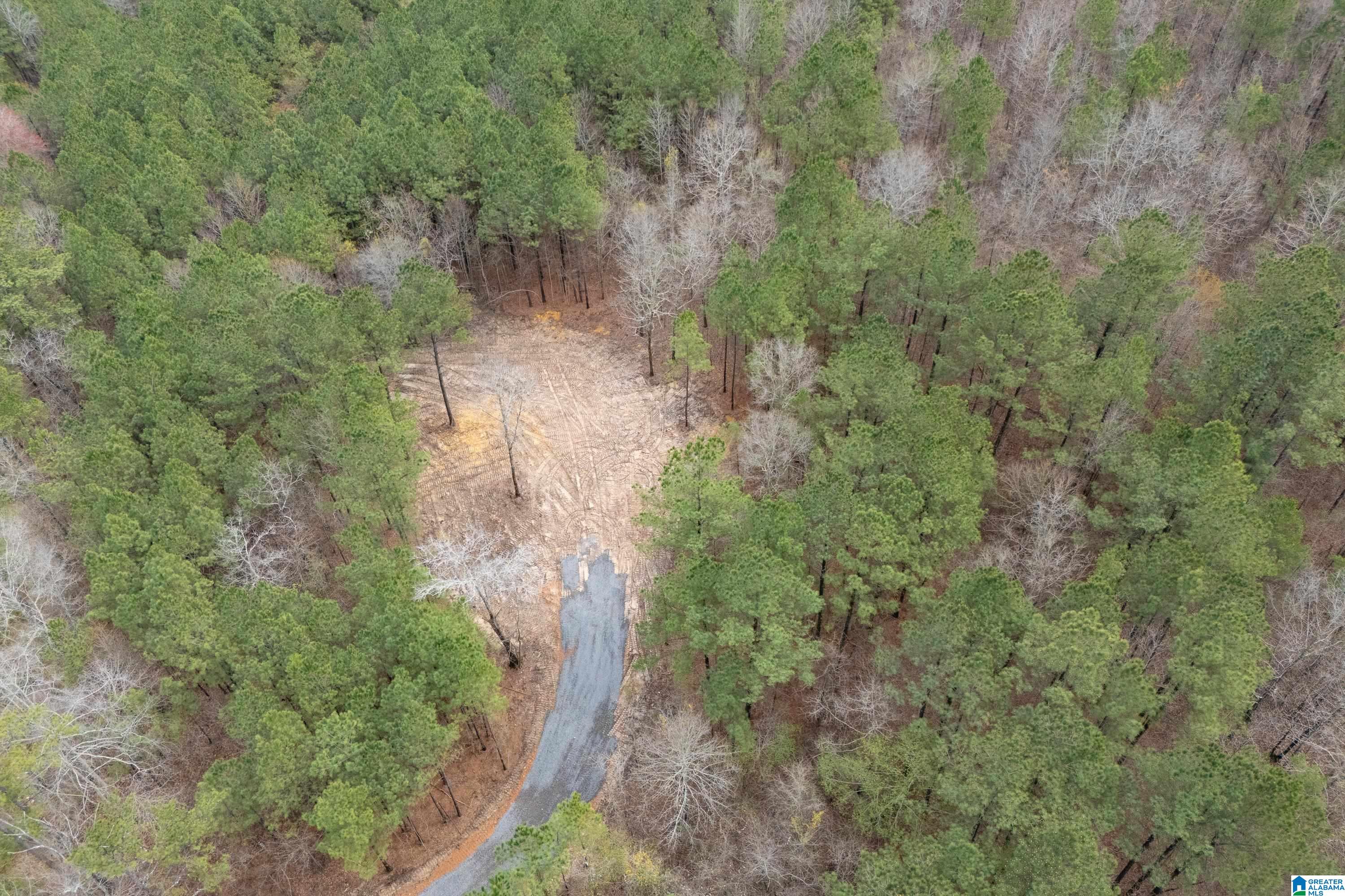 7 FISHER PHILLIPS ROAD 7