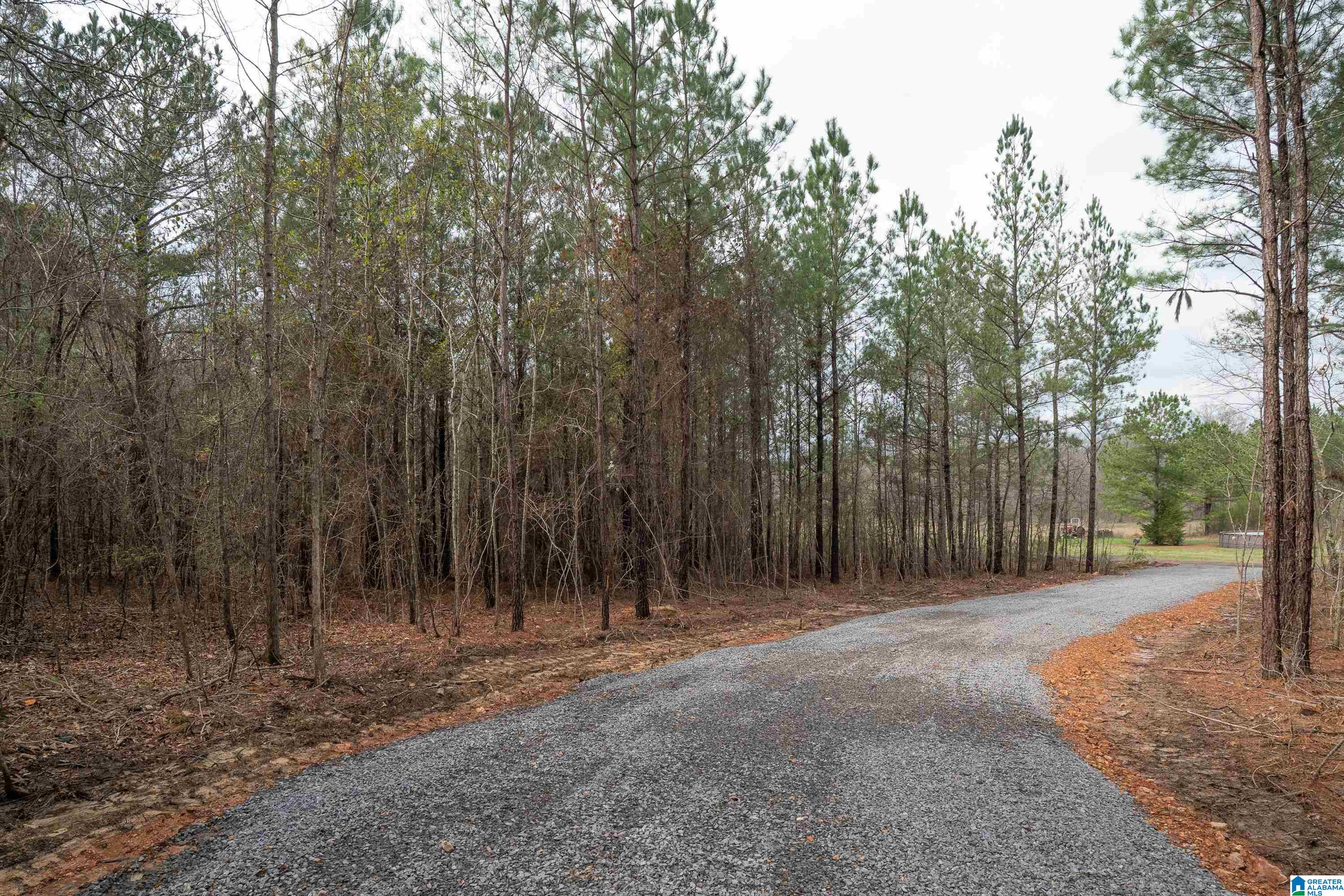 7 FISHER PHILLIPS ROAD 7