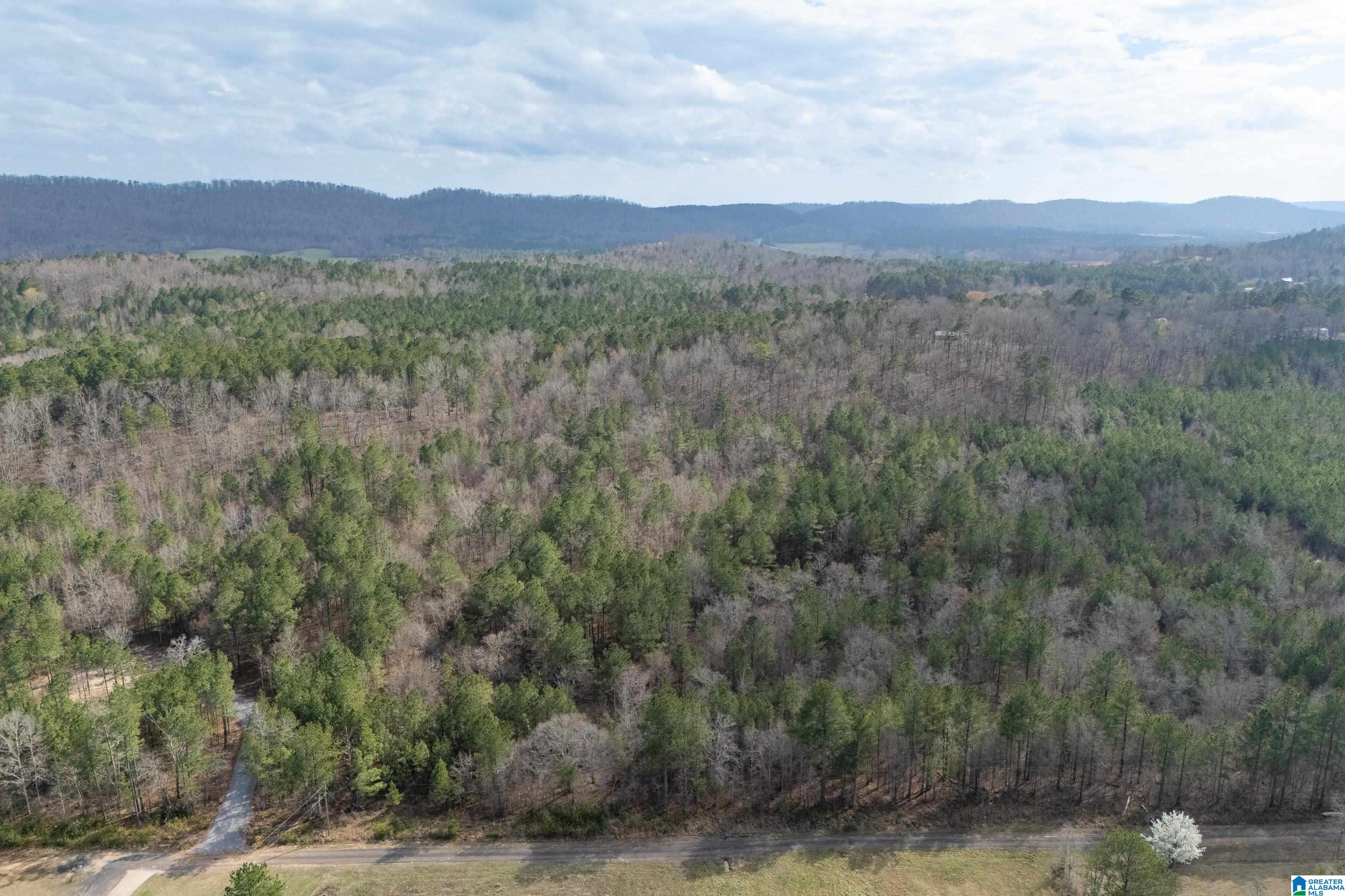 7 FISHER PHILLIPS ROAD 7