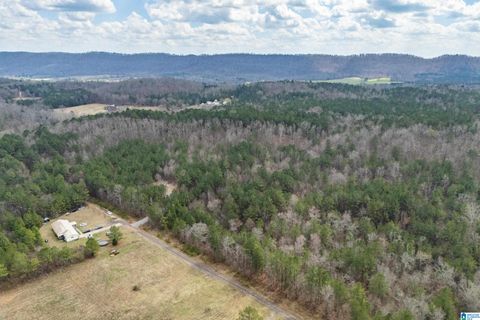 7 FISHER PHILLIPS ROAD 7 ASHVILLE AL 35953