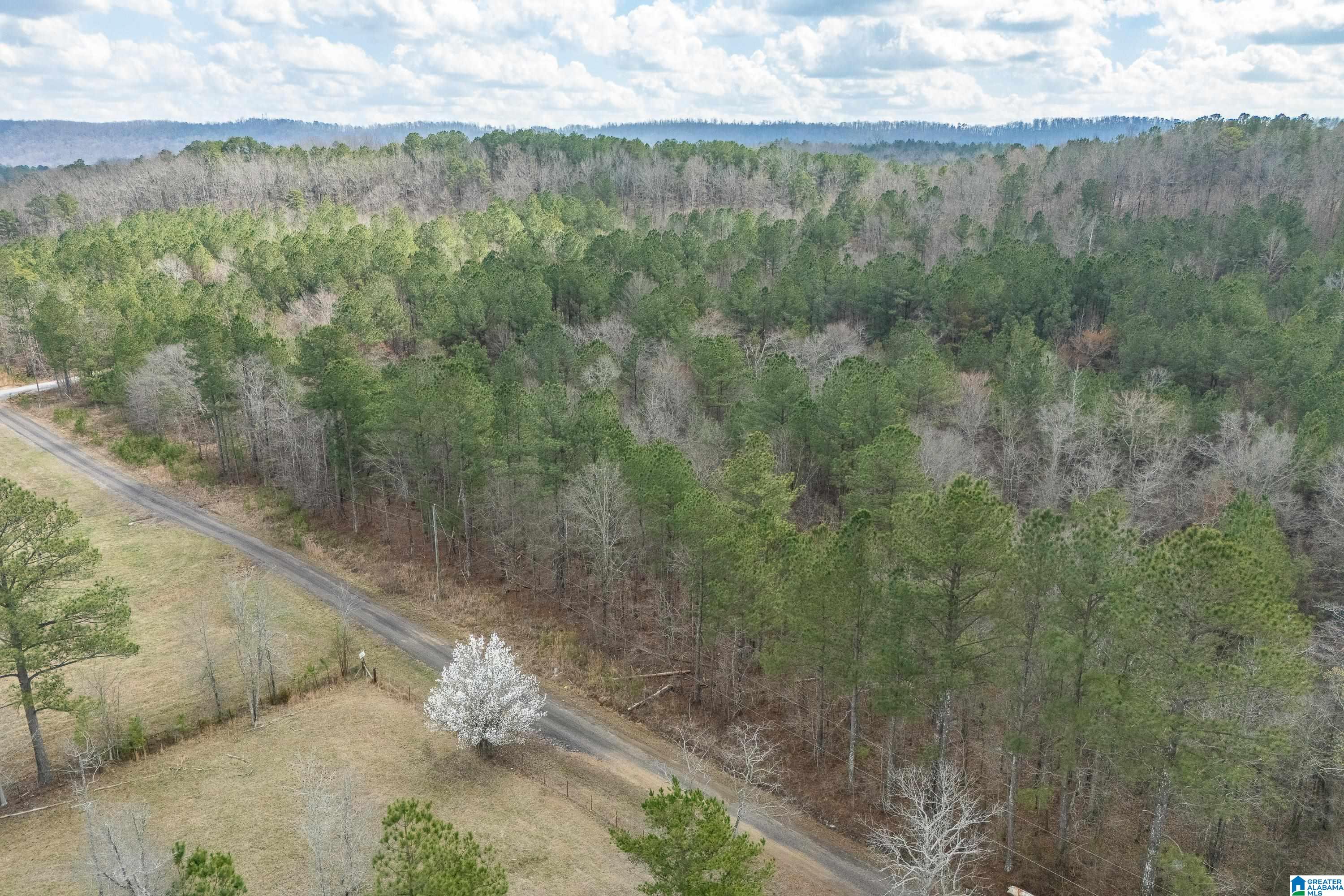 7 FISHER PHILLIPS ROAD 7