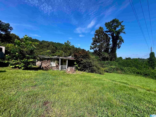 57181 US HIGHWAY 231, ONEONTA, AL 35121 - Image ef503e2190cd364e53a8b5fcc05e0d7d/1085480338