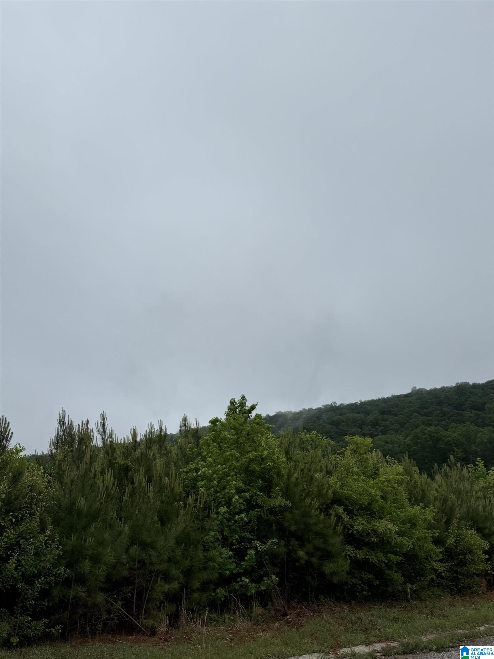 Photo 1 of 7 — 400 RODGERS WAY 75 Acres, LEEDS, AL 35094