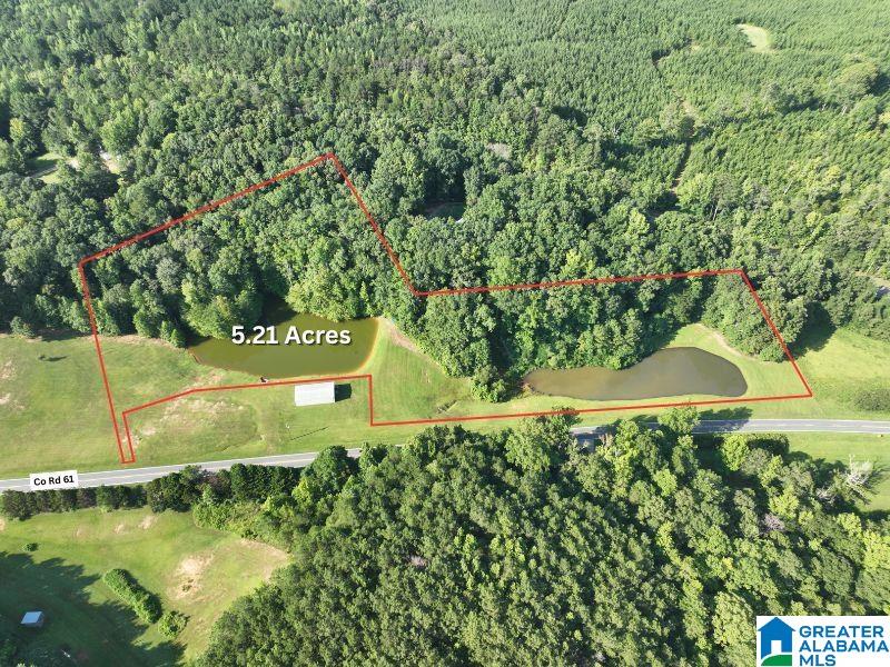 5.21acres COUNTY ROAD 61 5.21 acres