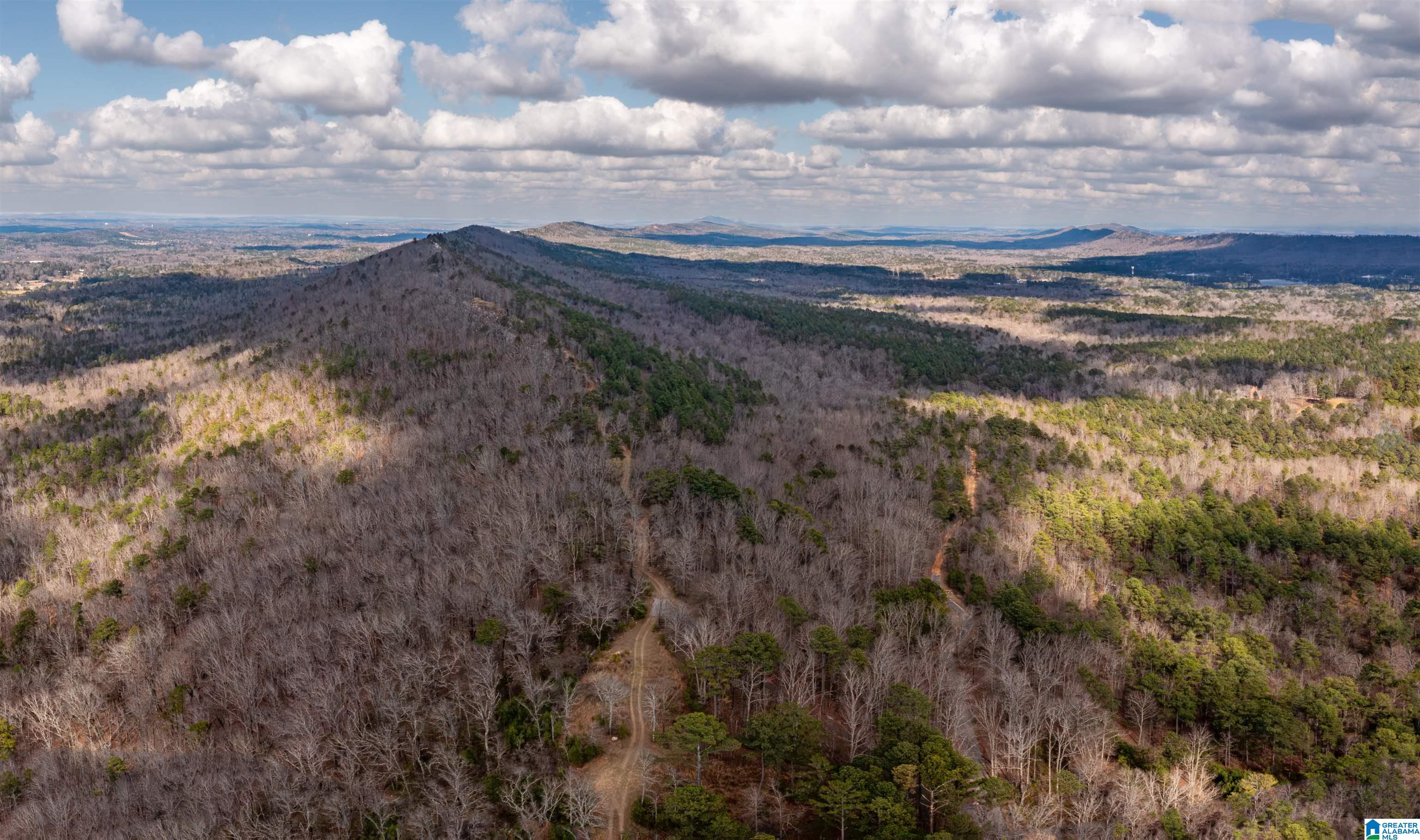 Photo 1 of 19 — 3717 SPRINGSTONE TRAIL 8, LEEDS, AL 35094