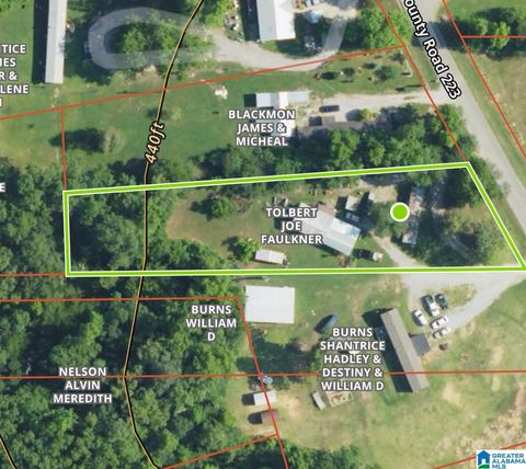 425 HIGHWAY 219 lot 1 MONTEVALLO AL 35115