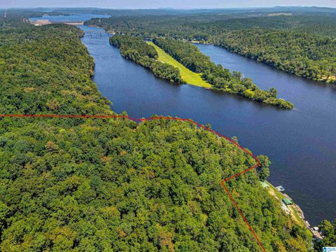 2011 COUNTY ROAD 256 82 Acres CLANTON AL 35046