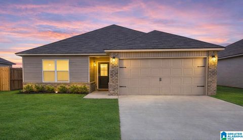 49 TROPHY LOOP LINCOLN AL 35096