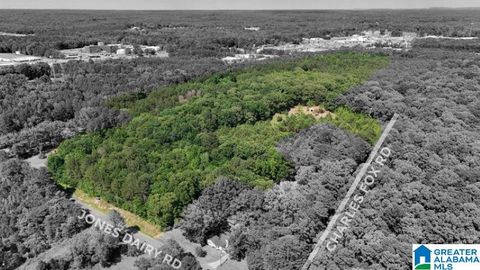 0 JONES DAIRY ROAD #0 JASPER AL 35501