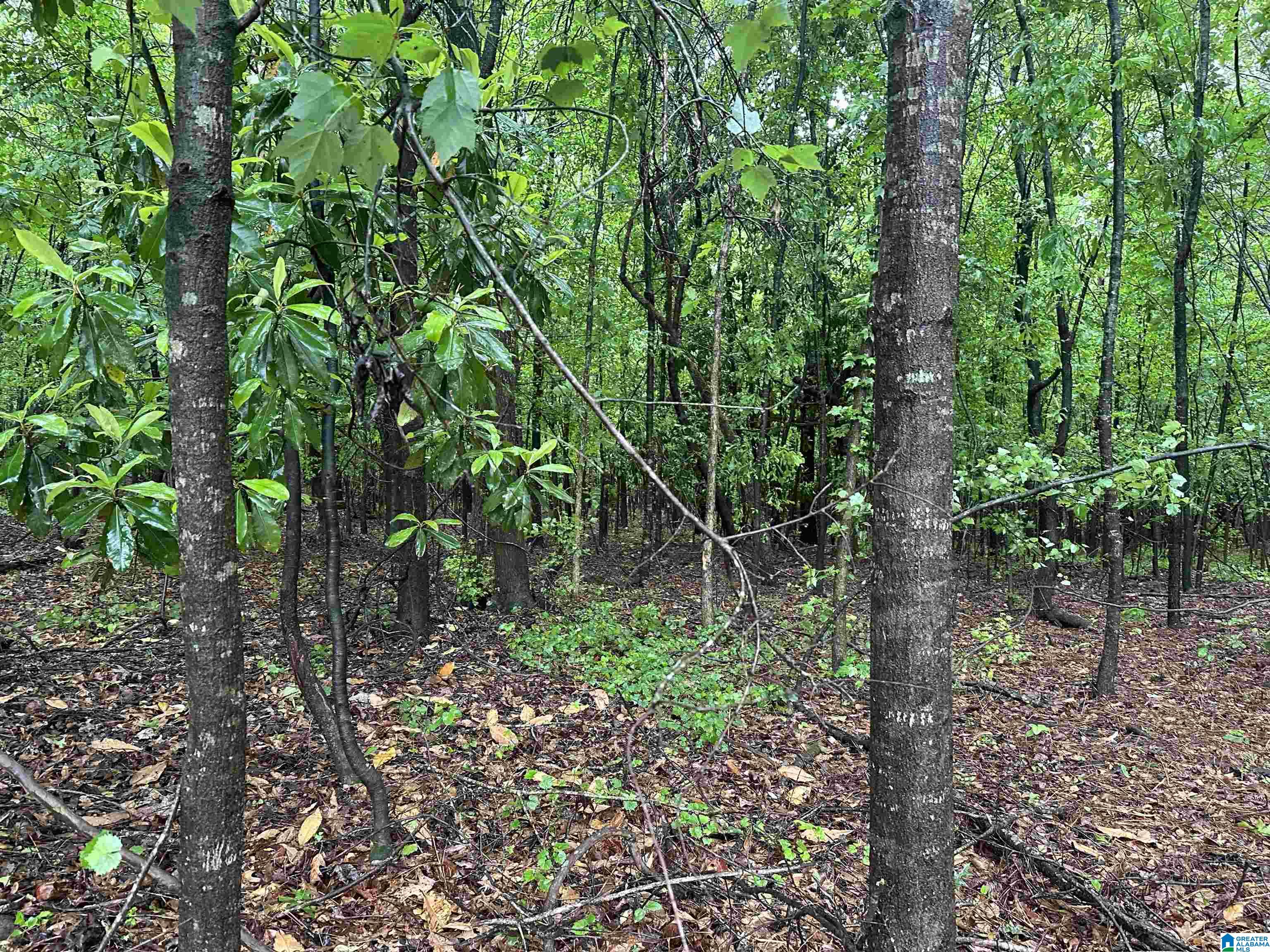 0 JONES DAIRY ROAD #0