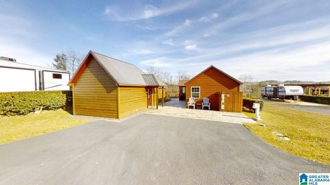 Photo of 71 County Road 2031, CRANE HILL, AL 35053 (MLS # 21438249)