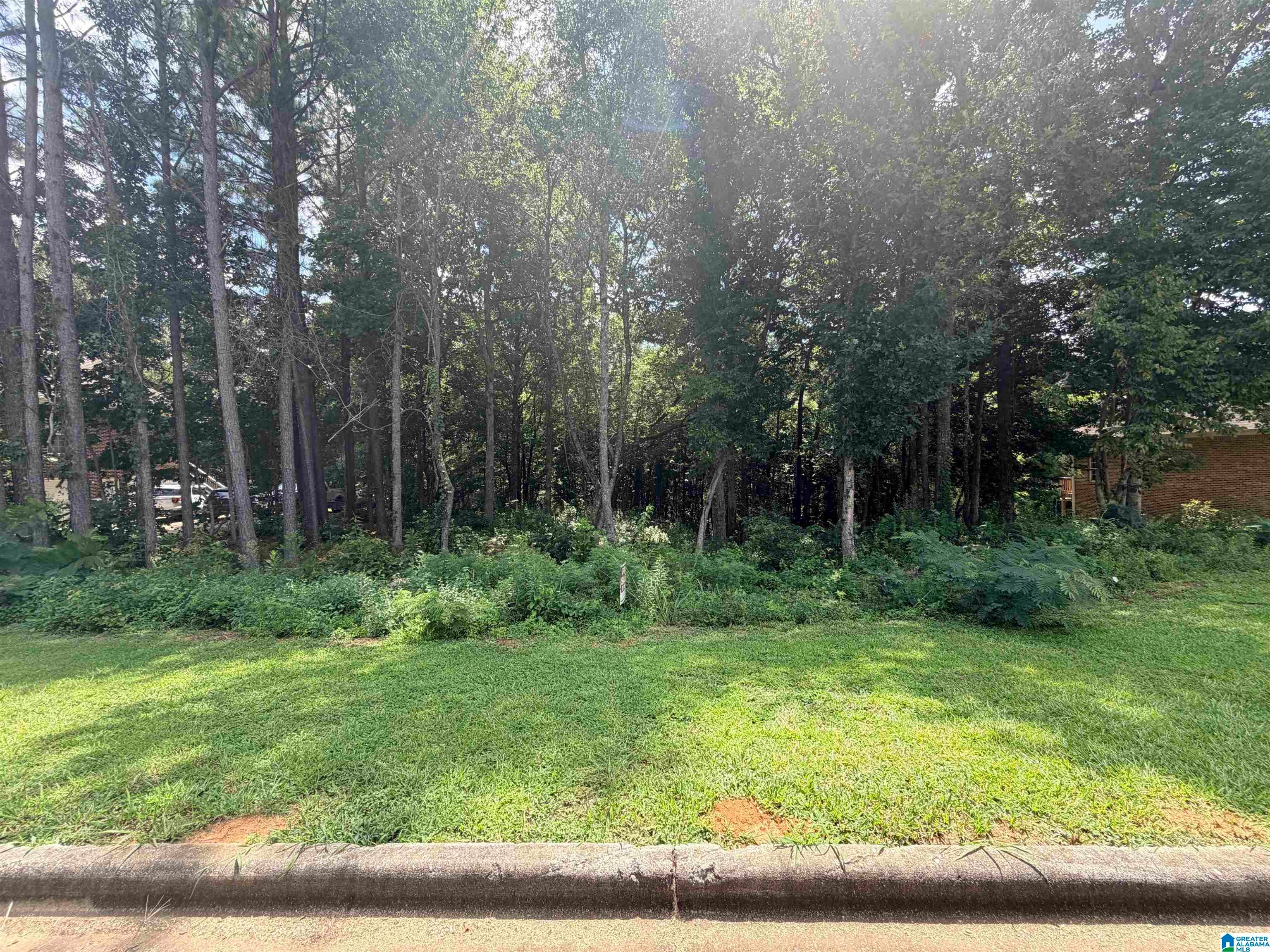 912 BENDING CREEK DRIVE 32