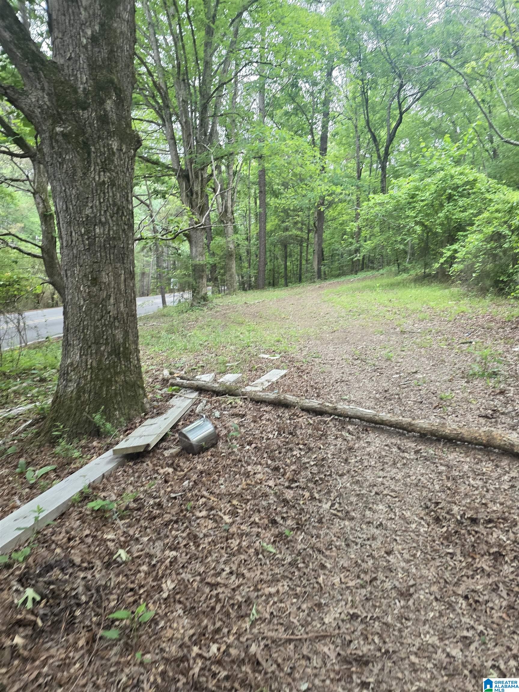3584 SELF CREEK ROAD