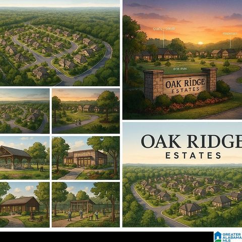 7620 COOK ROAD 200+ TRUSSVILLE AL 35173