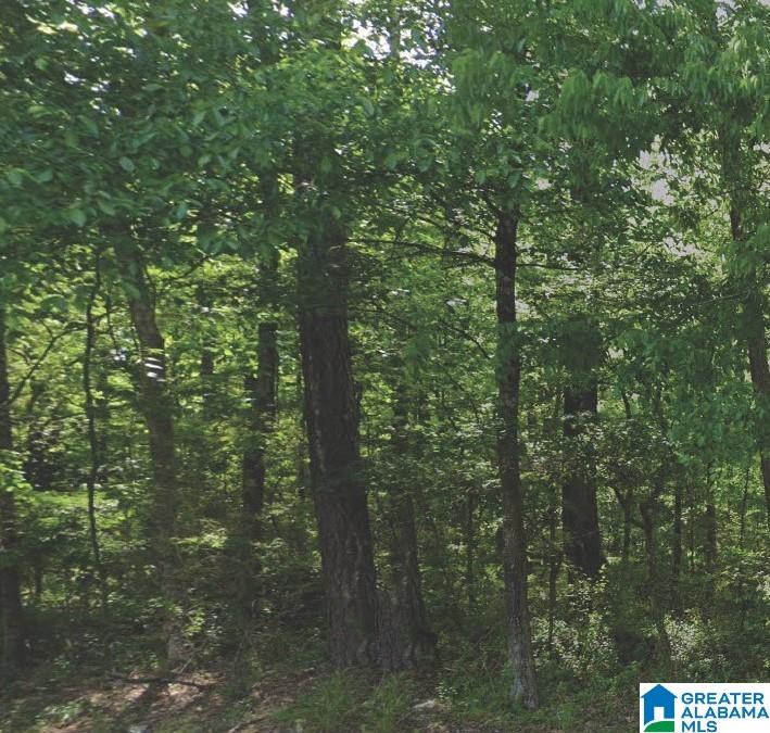 Photo 1 of 1 — 4575 SILVER LAKE ROAD 0, PINSON, AL 35126