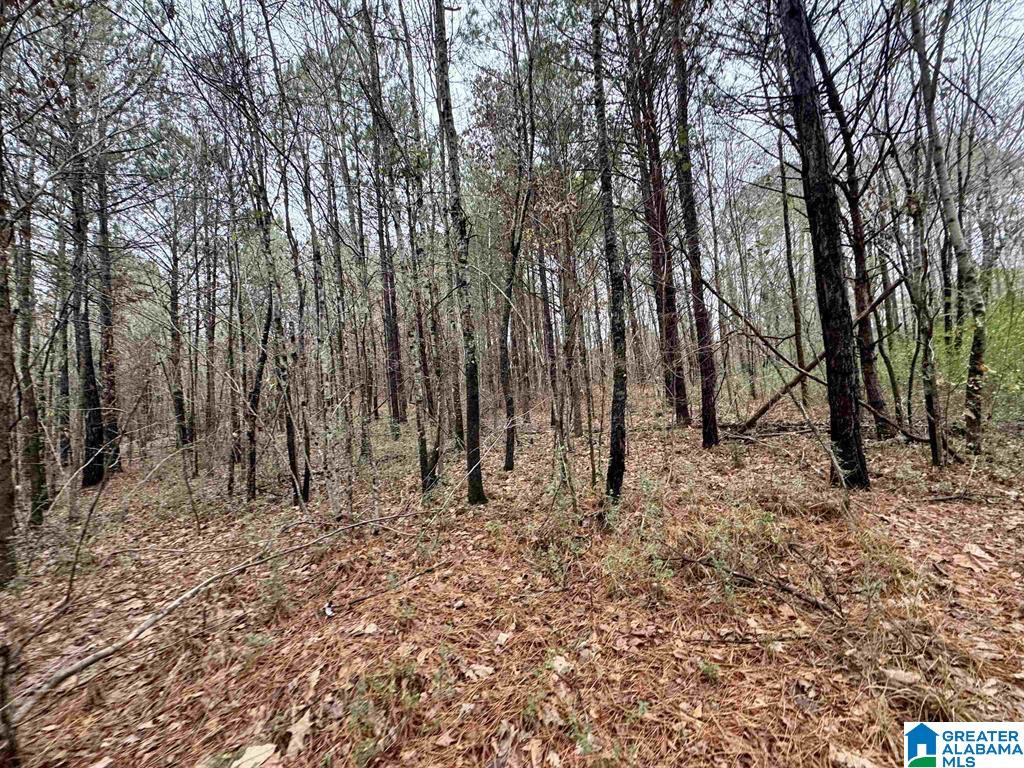 8260 KERMIT JOHNSON ROAD 2