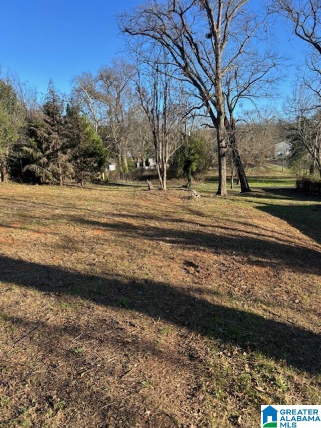 7809 2ND AVENUE S 20