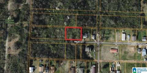 830 TRILBY STREET 7 BIRMINGHAM AL 35214