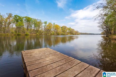 960 RIVER RUN ROAD CHILDERSBURG AL 35044