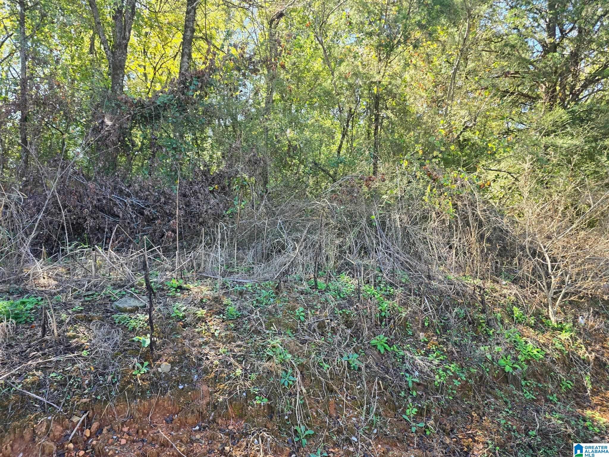 lot 3 UNION HILL CHURCH ROAD 3