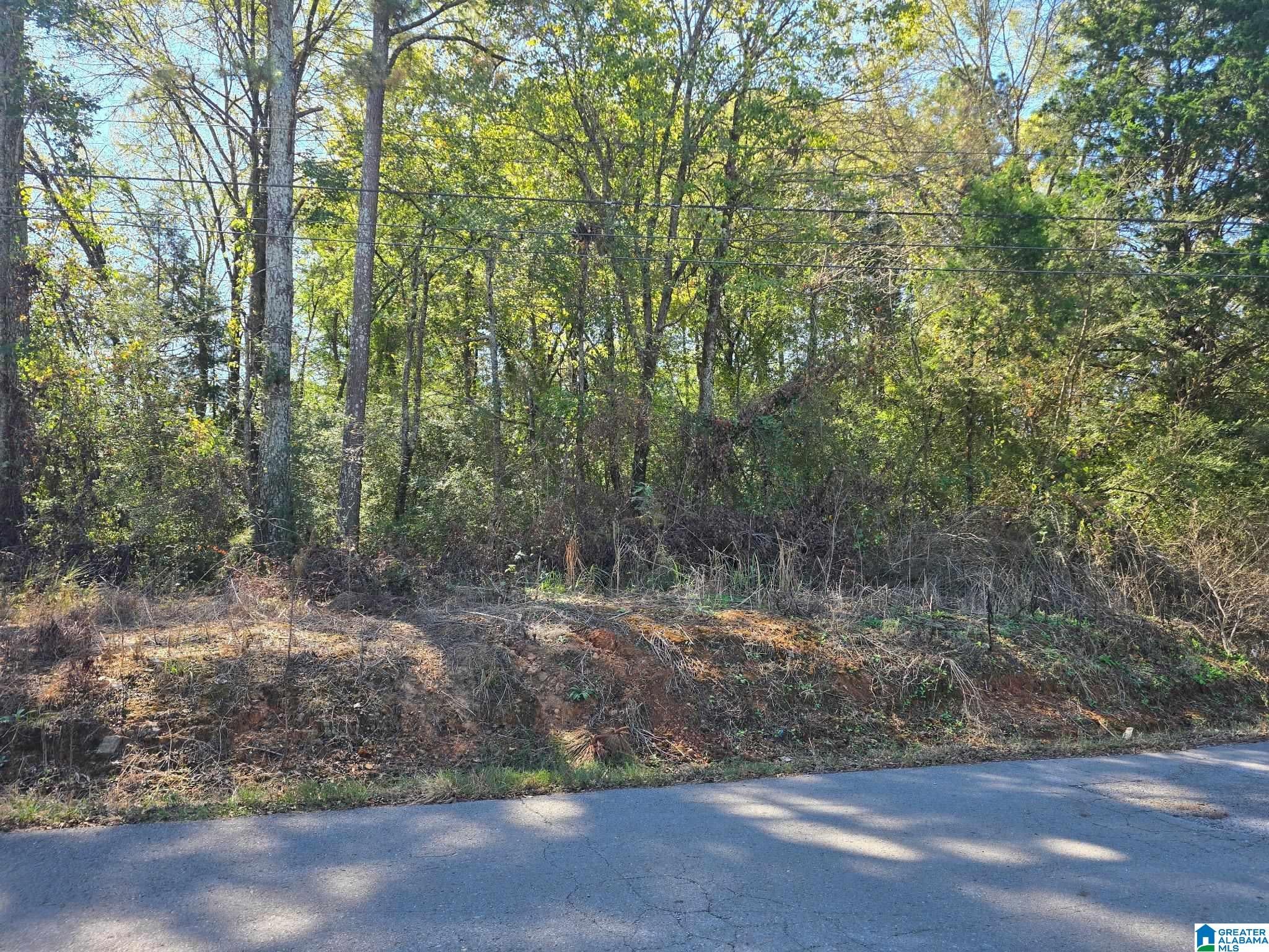 lot 3 UNION HILL CHURCH ROAD 3