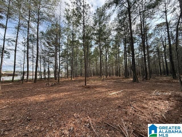 04 CLUB HOUSE ROAD 04