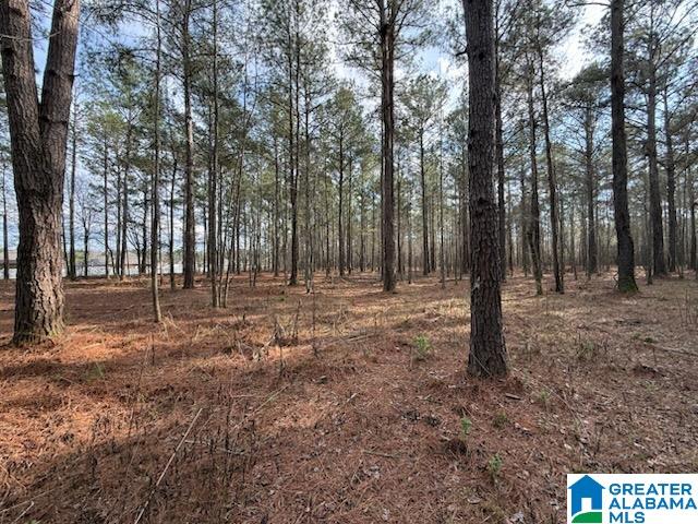 04 CLUB HOUSE ROAD 04