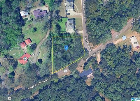 3100 CAHABA PARK DRIVE 1 TRUSSVILLE AL 35173