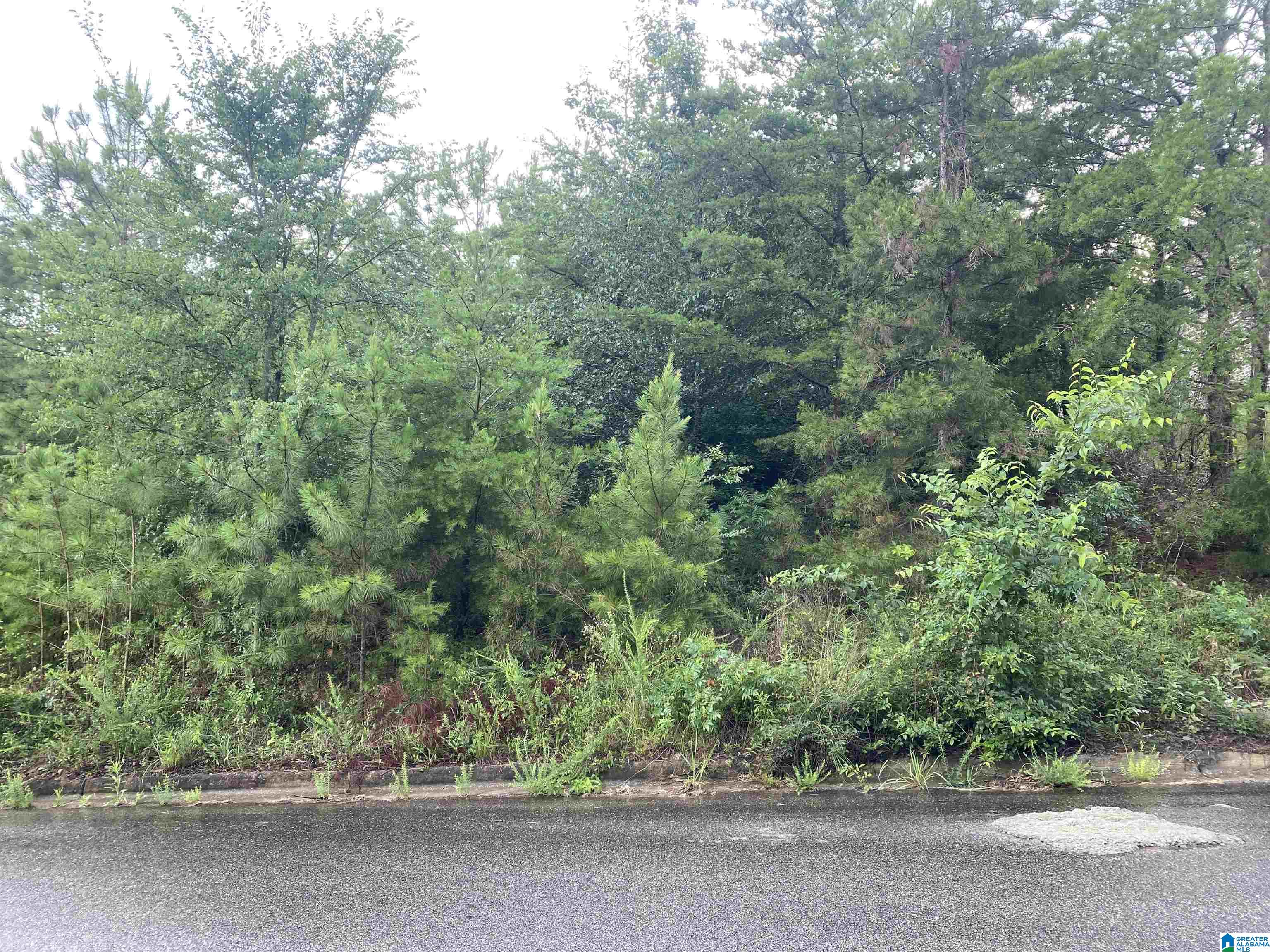 1059 ASBURY CIRCLE 137 - Photo 3