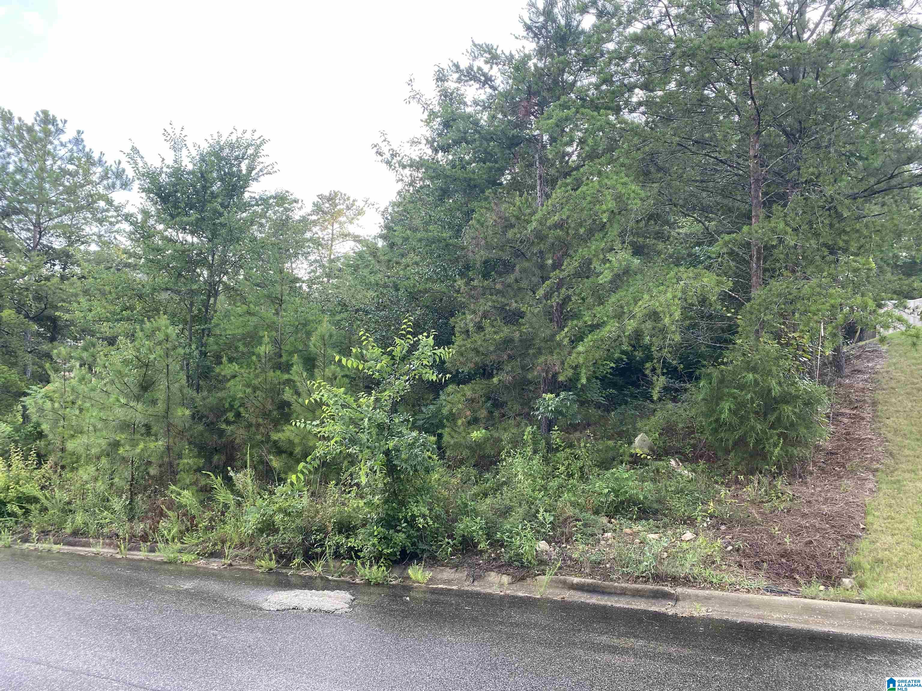 1059 ASBURY CIRCLE 137 - Photo 2