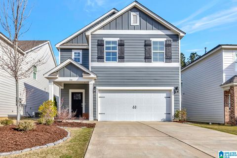 216 CHELSEA PARK ROAD CHELSEA AL 35043