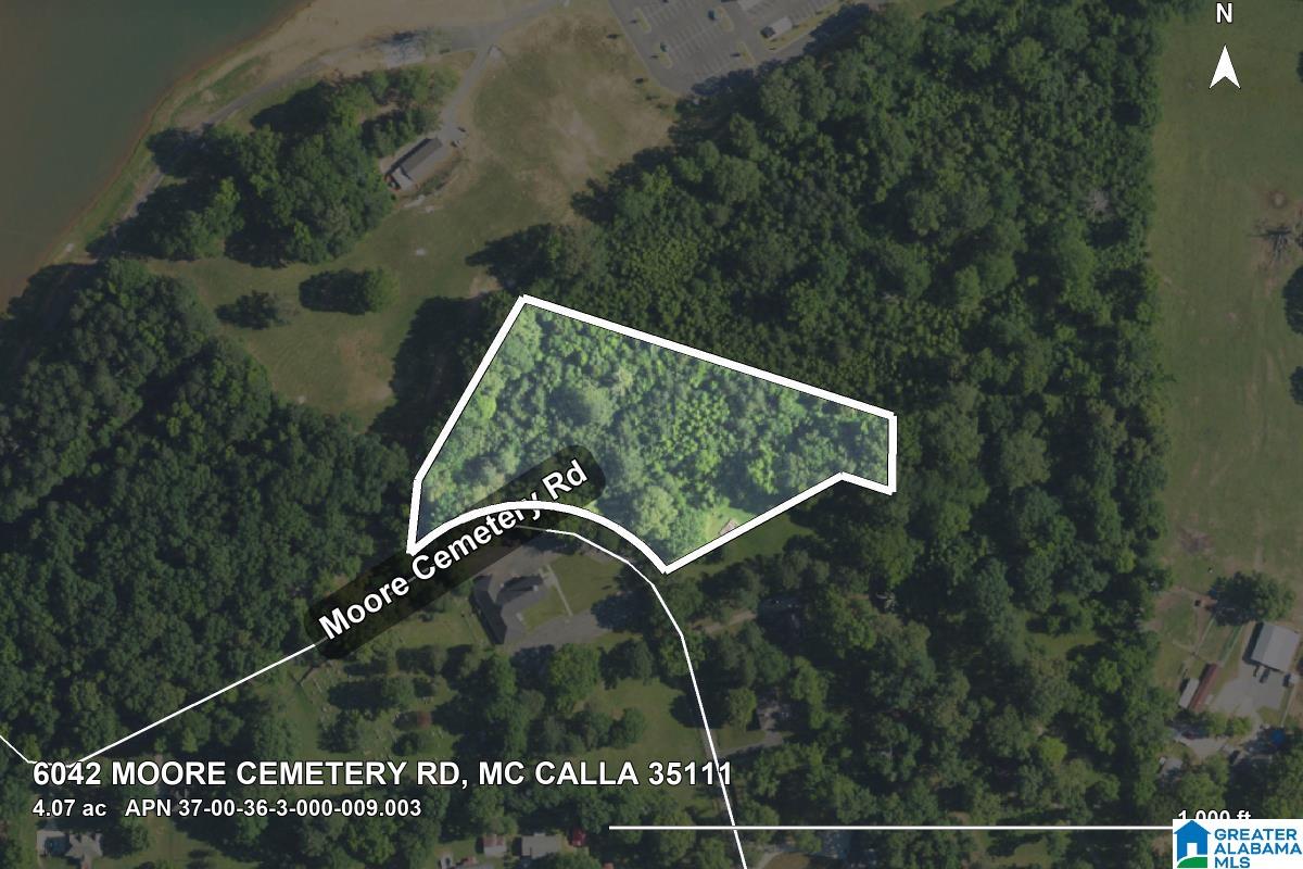 6042 MOORE CEMETERY ROAD -